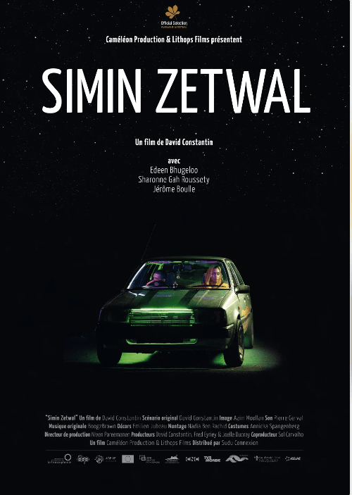 Simin Zetwal - David Constantin