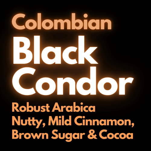 Columbian Black Condor