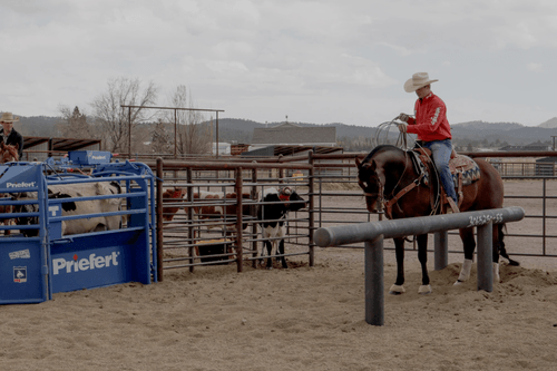 Riding Lessons