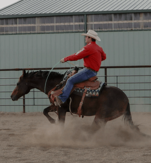 Individual Roping Lessons