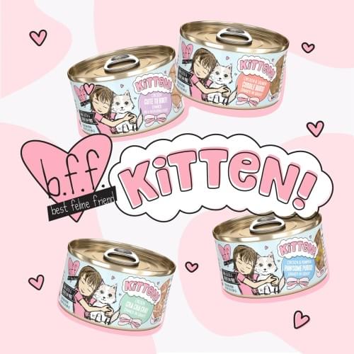 Weruva BFF Kitten