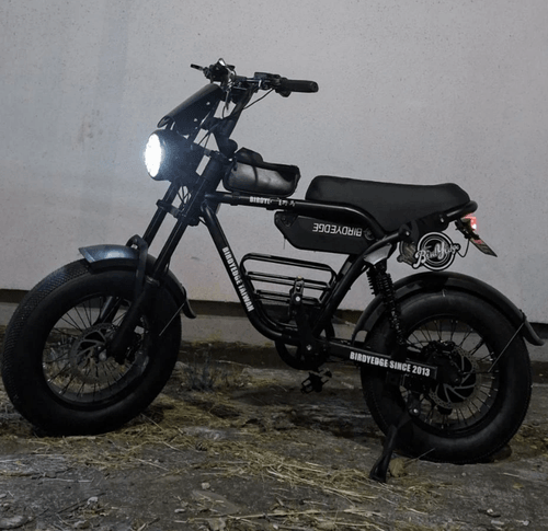 BIRDSEDGE野馬電動自行車