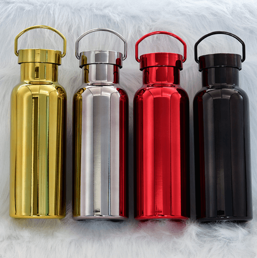 Stainless Steel Insulated Bottle