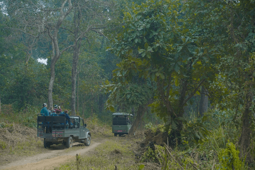 5 Nights / 6 Days - TigerQuest Nepal