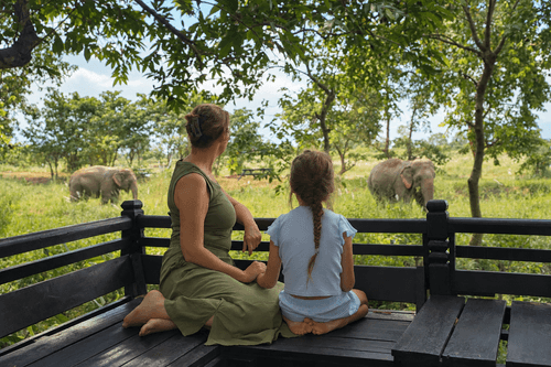 4 Nights/ 5 Days - Elephant, Forest & Cultural Escape package Chitwan