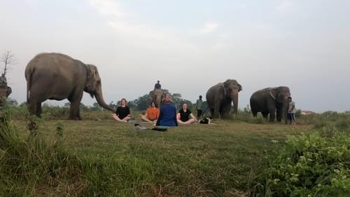 Sapana Mindfulness & Yoga Retreat - 3 Nights / 4 Days