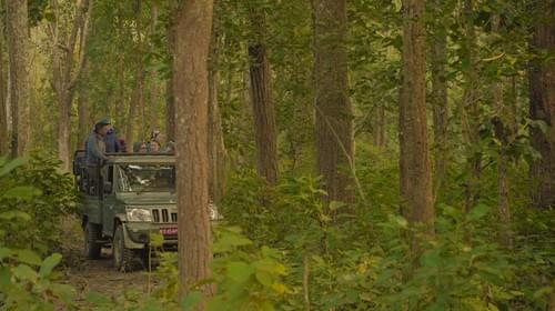 Wildlife and Chitwan Tharu Adventure -2 days/1 night