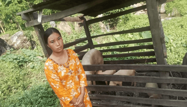 Pig Rearing Creates New Income Opportunities for Hira Chepang