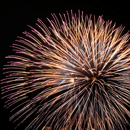 New Year Reflection, Vision Board, & Intention Setting January 1st, 2026 11:30 - 1PM