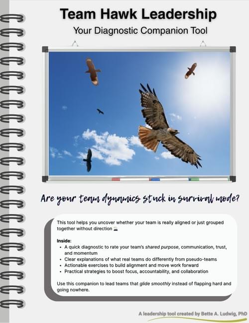 Team Hawk Leadership Diagnostic Companion Tool for Teams