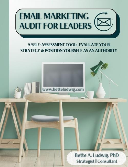 Email Marketing Effectiveness Audit for Leaders