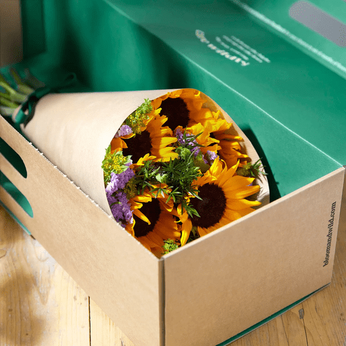 Girasoli