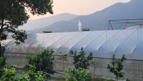 農莊半天遊．參觀農莊 