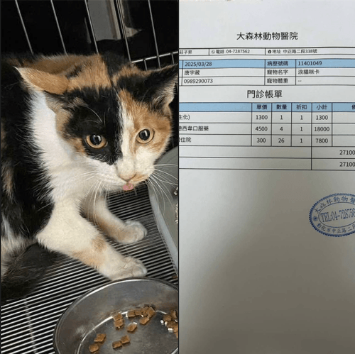 腹膜炎咪卡(編號:1130207006)