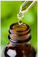 Make It – Take It Fall Herbal Digestive Tincture September 3rd