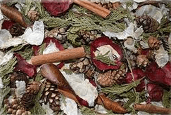 Botanical Potpourri Workshop November 14th