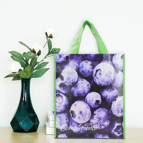 PP non woven bag