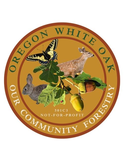Oregon White Oak Sticker