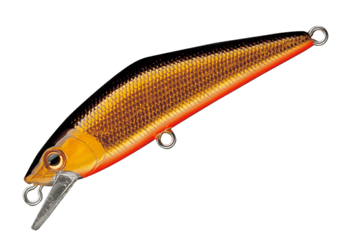 SMITH D-CONTACT 50 - Smith is #1 seller in Japan