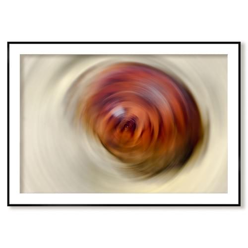 Meta-Morphose