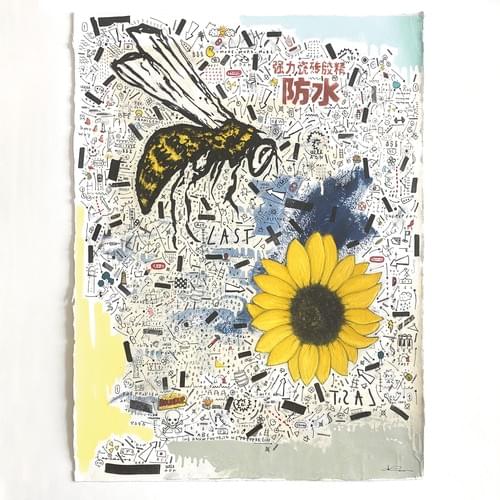 BE(E) - Sébastien DOMINICI