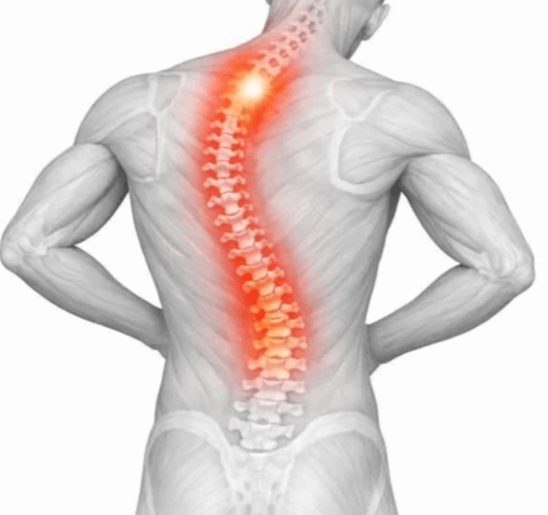 Physiothérapie générale et orthopédique 