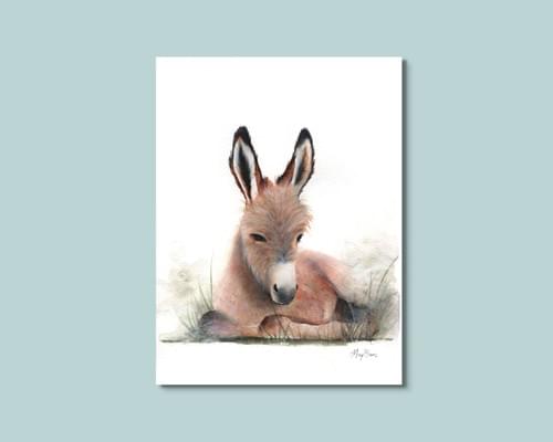 Baby Donkey