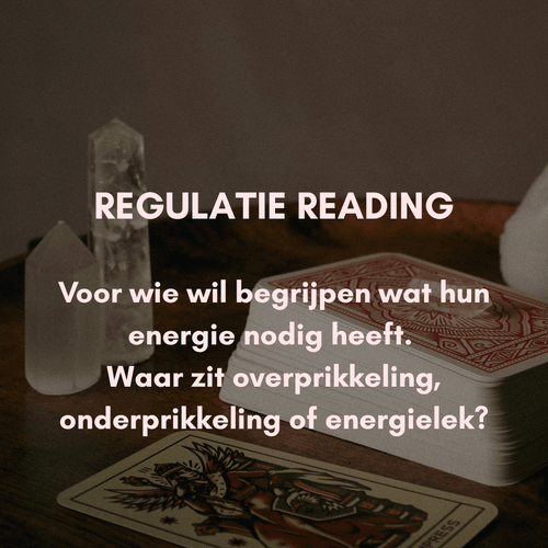 REGULATIE READING