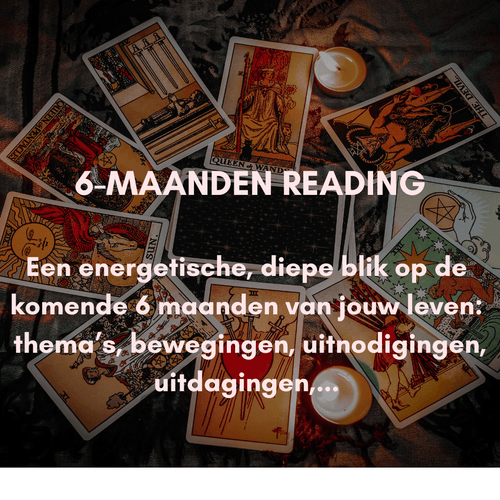 6 MAANDEN READING