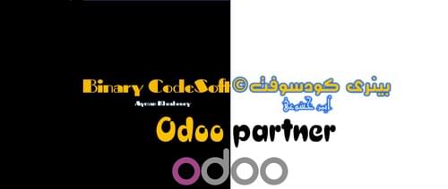 Odoo ERP system Improvement services - تطوير الاستخدام وصيانة نظام أودو المتكامل