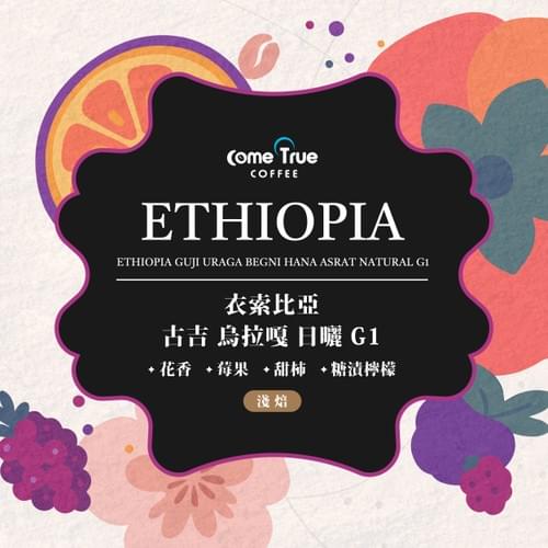 淺焙【衣索比亞 古吉 烏拉嘎 𝗚𝟭】日曬 咖啡豆