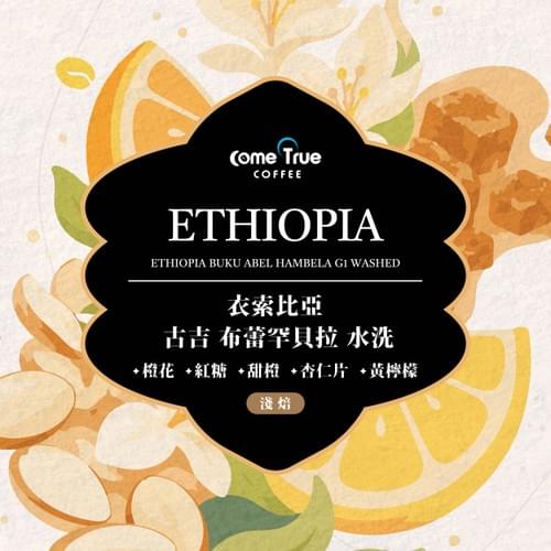 淺焙【衣索比亞 古吉 布蕾罕貝拉】水洗 咖啡豆