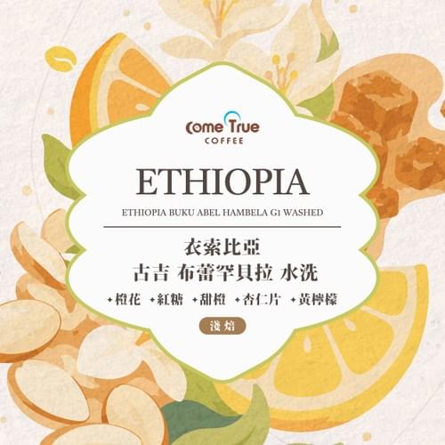 淺焙【衣索比亞 古吉 布蕾罕貝拉】水洗 掛耳包 / 濾掛包