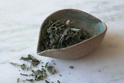 Thé blanc Bai Mu Dan (Zhejiang, Chine) 50 ou 100g