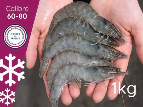 Crevettes surgelées // 60 à 80 pièces/kg - Lot de 2 X 0,5kg