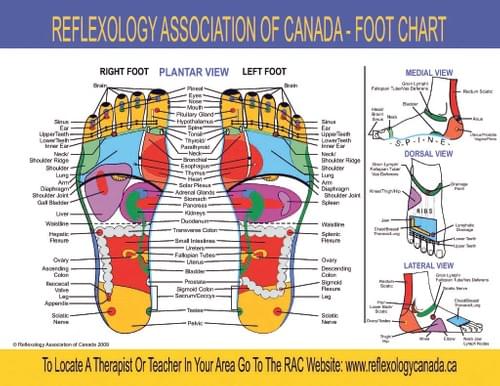 Foot Reflexology Session