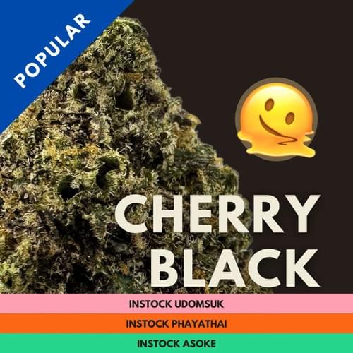 Cherry Black|暗夜櫻桃