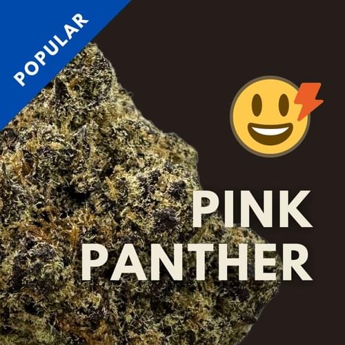 Pink Panther|粉紅豹