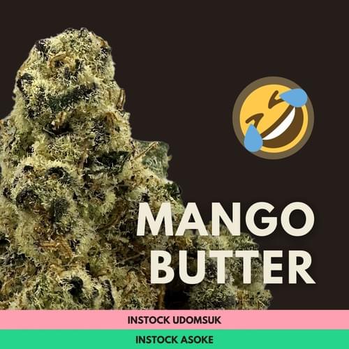 Mango Butter|芒果奶油