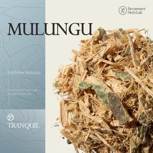 Mulungu Erythrina mulungu 10g|Recurrence Herb Lab