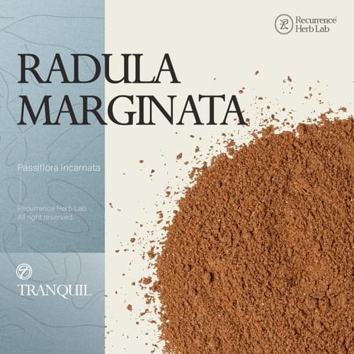 Wairuakohu Radula Marginata 50x Extract 10g|Recurrence Herb Lab