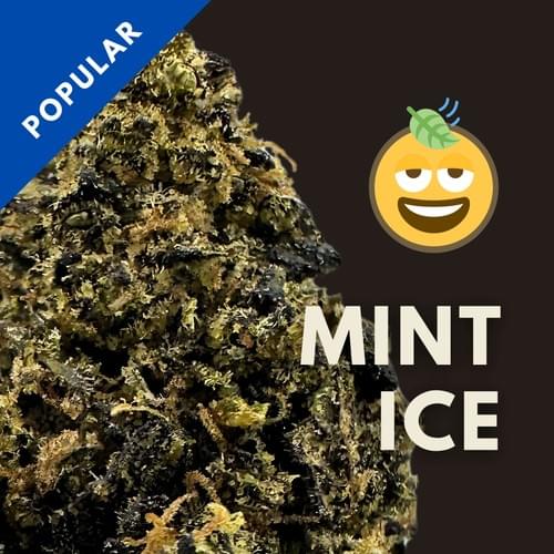Mint Ice|薄荷冰沙