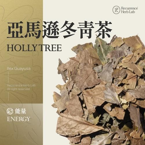 Holly tree Ilex guayusa 10g|Recurrence Herb Lab