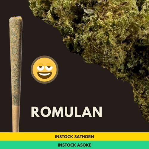 Romulan|羅慕倫星