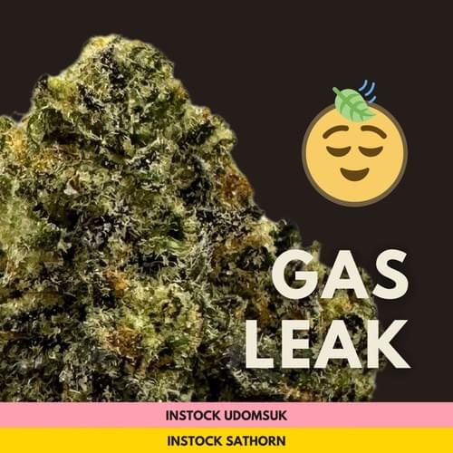Gas Leak|汽油灑出來ㄌ