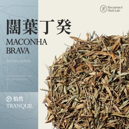 Zornia Latifolia Maconha Brava 5g|Recurrence Herb Lab
