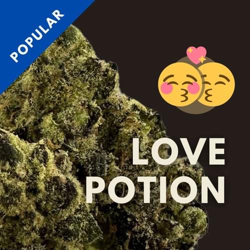 Love Potion|愛到卡慘死