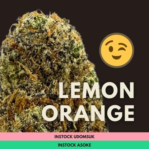 Lemon Orange|檸檬柳橙