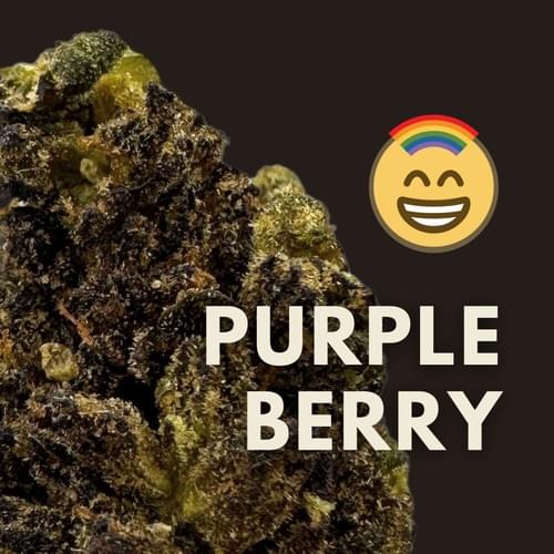 Purple Berry|紫色莓果