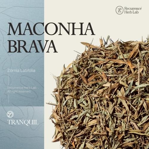 Zornia Latifolia Maconha Brava 5g|Recurrence Herb Lab